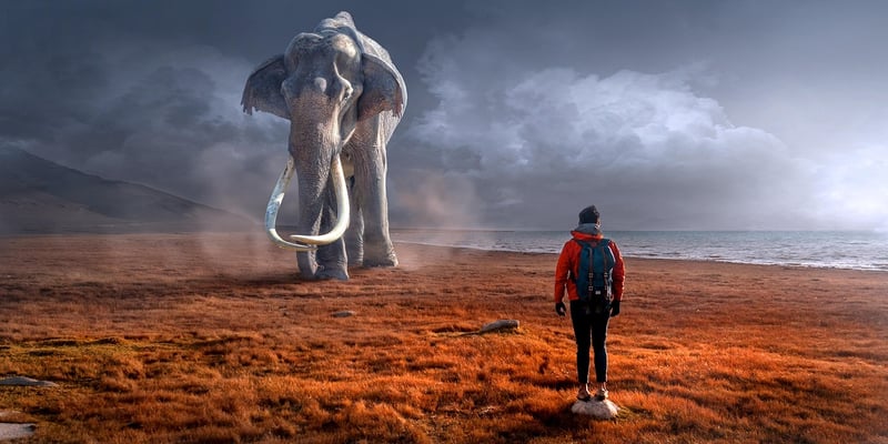 Global Encounters